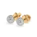 Illusion Earrings 102-10090/1