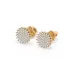 Illusion Earrings 102-10171