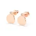 Minimalism Earrings 102-10067