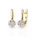 Illusion Earrings 102-10015/1(2.5)