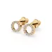 Minimalism Earrings 102-10055