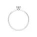 Solitaire Ring 101-10194(0.30)HRT