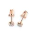 Solitaire Butterfly Earrings 102-10020(3.7)