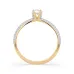 Solitaire Eternity Ring 101-10023
