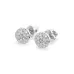 Illusion Earrings 102-10072
