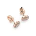 Illusion Earrings 102-10018(3.0)