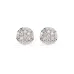 Illusion Earrings 102-10072