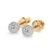 Illusion Earrings 102-10090