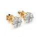 Illusion Earrings 102-10015/2(3.4)