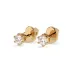 Solitaire Butterfly Earrings 102-10027(2.5)