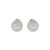 Illusion Earrings 102-10090